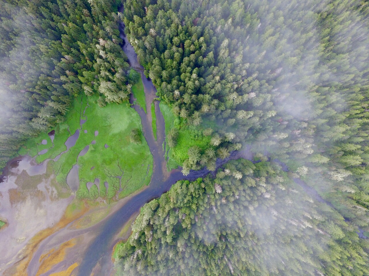 This overall picture of forest health revealed that the trees in the former habitation zones were taller, wider and healthier than the trees growing in the surrounding, uninhabited areas