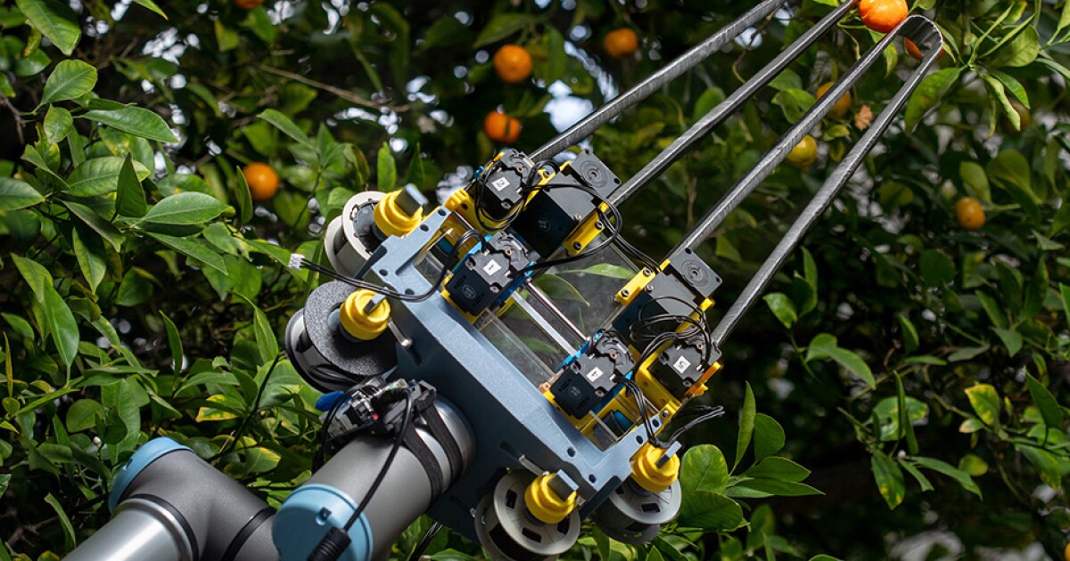 Robotic gripper uses measuring tape fingers for delicate object handling Robotic gripper uses measuring tape fingers for delicate object handling