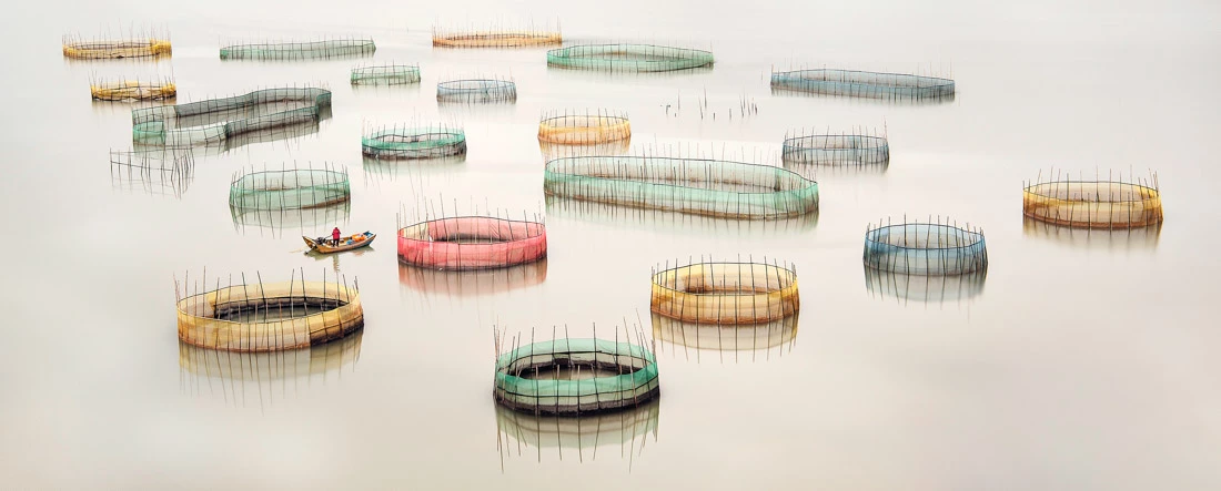 Highlight from the top 50 in Amateur Landscape / Nature