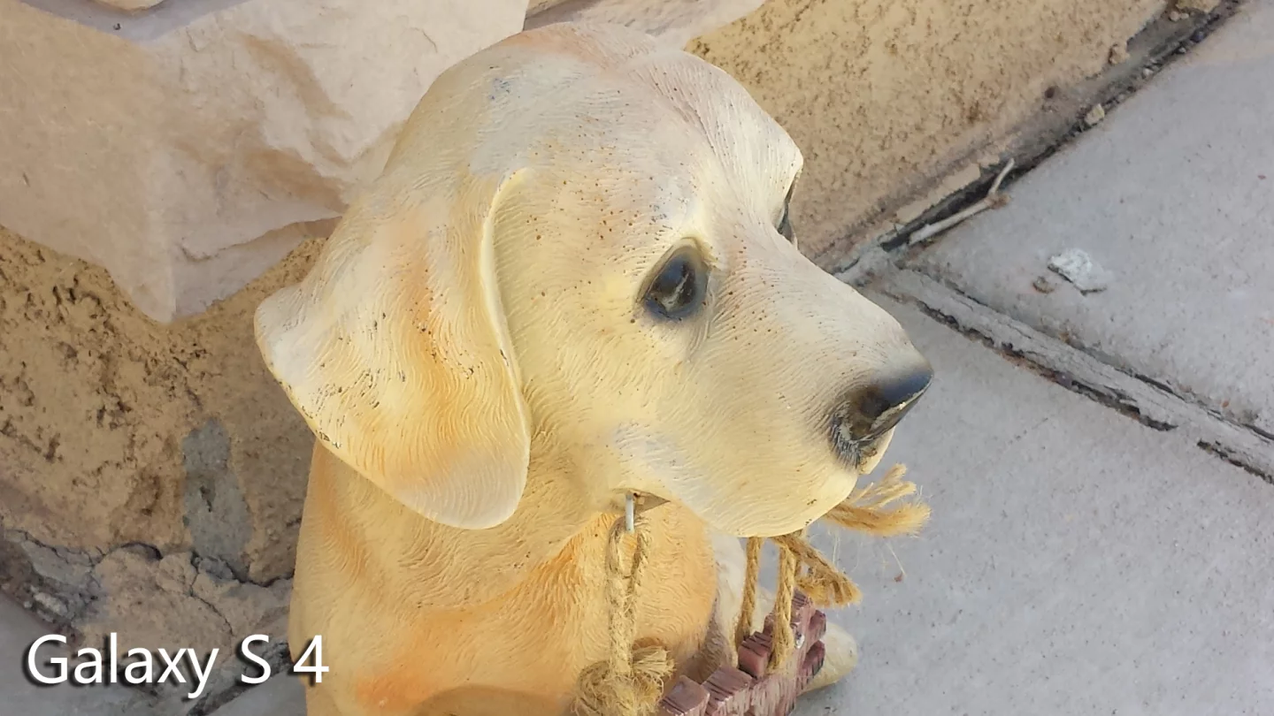 Crop of a shaded outdoor shot taken with the Galaxy S4