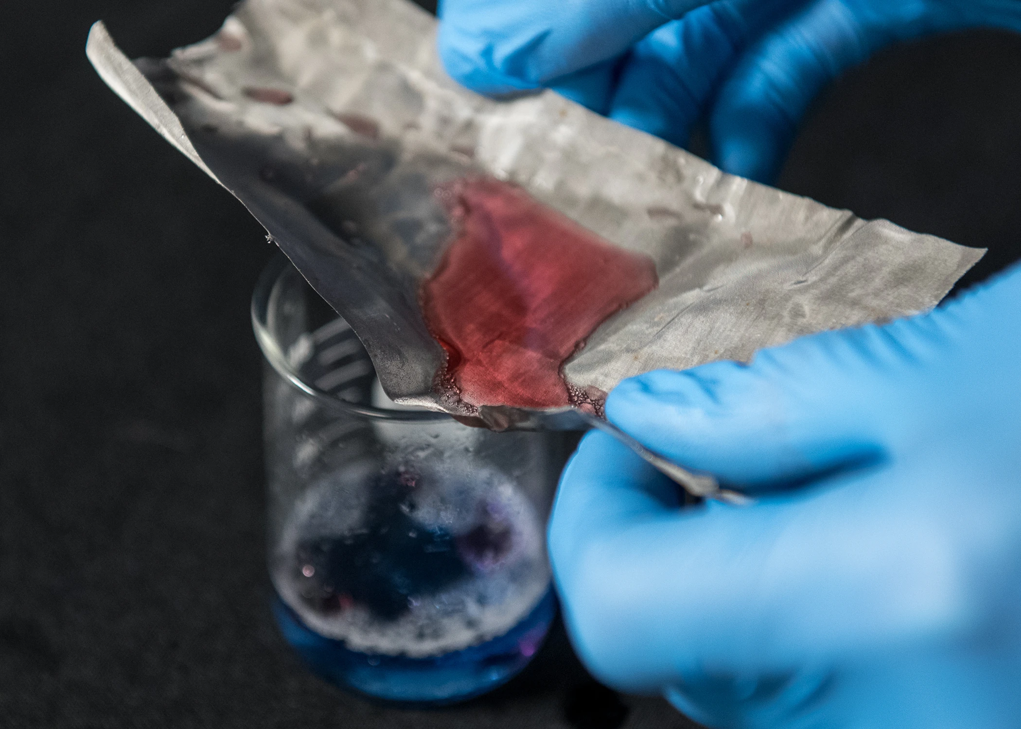 The mesh lets water through (blue) but holds back oil (red) (Photo: Jo McCulty/The Ohio State University)