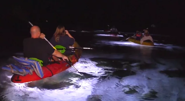 The 2000 system was designed for use on kayaks, canoes and paddle boards
