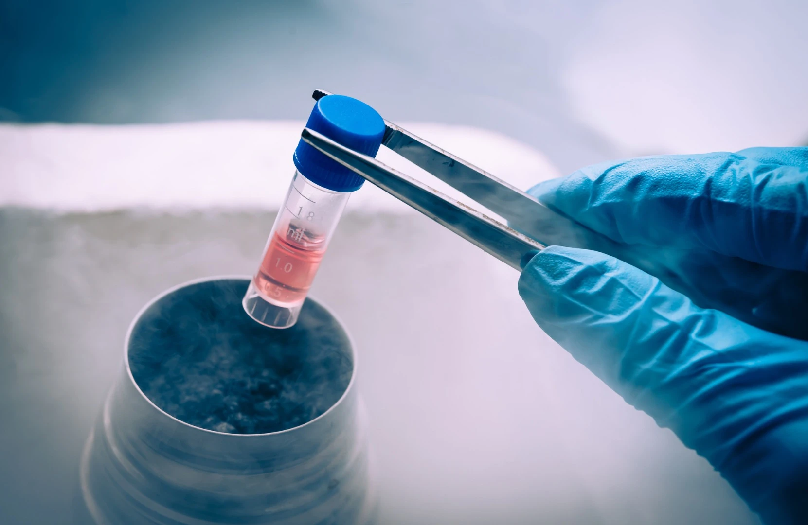 New research suggests adult stem cells could be harvested from patients and repurposed into personalized cancer vaccines
