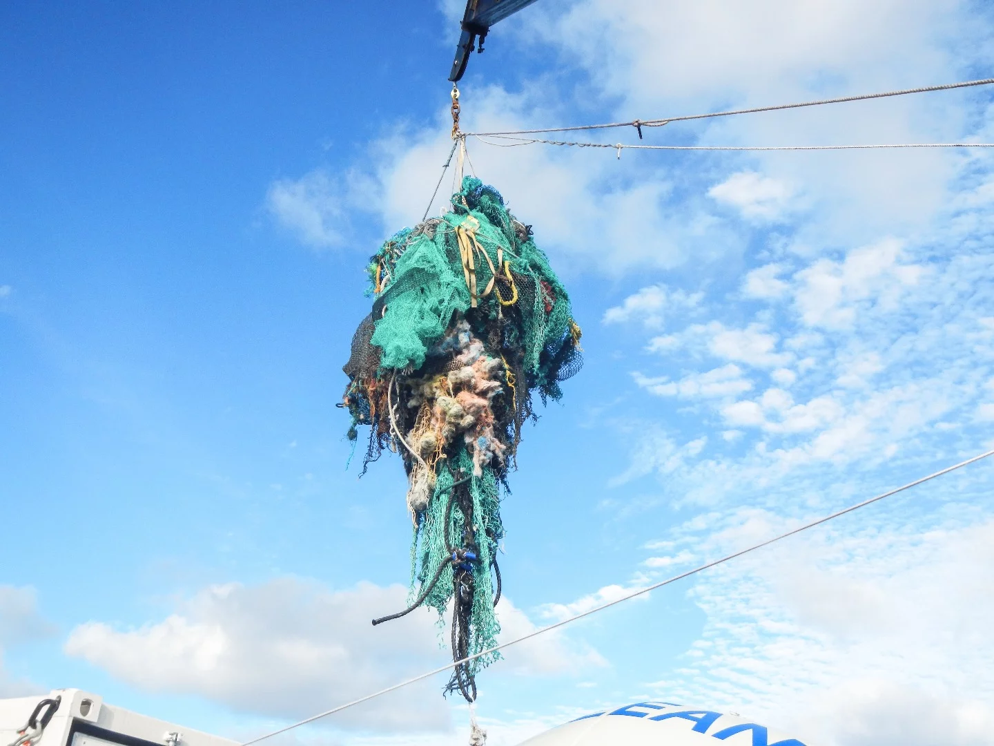 Plastic samples from a new survey of the Great Pacific Garbage Patch