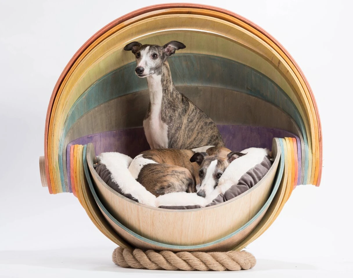 The Dog Pod was designed by TLA Studio. It's made from 12 pieces of bendable plywood and has a colorful interior with a rope base. Its design allows the whole thing to be folded flat