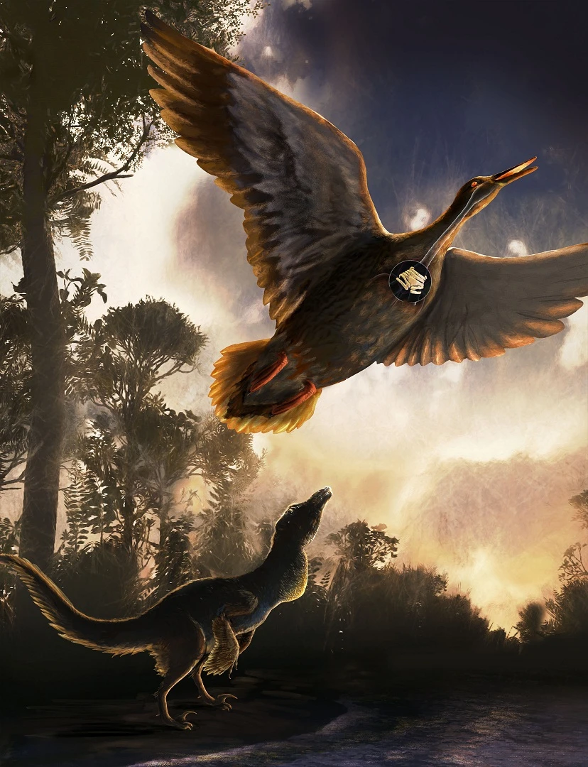 Vegavis iaai, flying overhead, lived during the time of dinosaurs, who most likely communicated through closed-mouth vocalizations