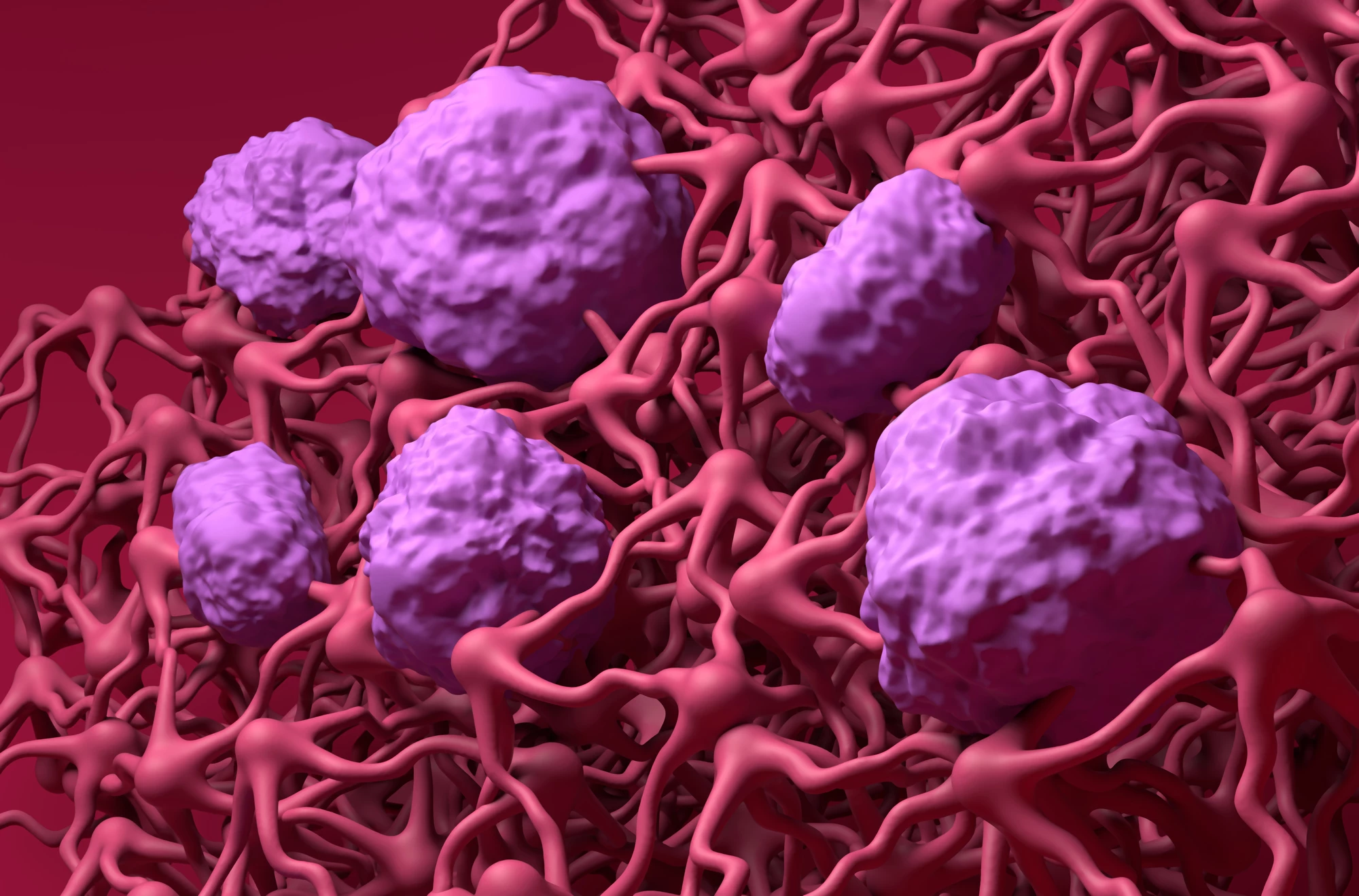 A new study has identified promising molecules that could help patch up leaks in the blood-brain barrier