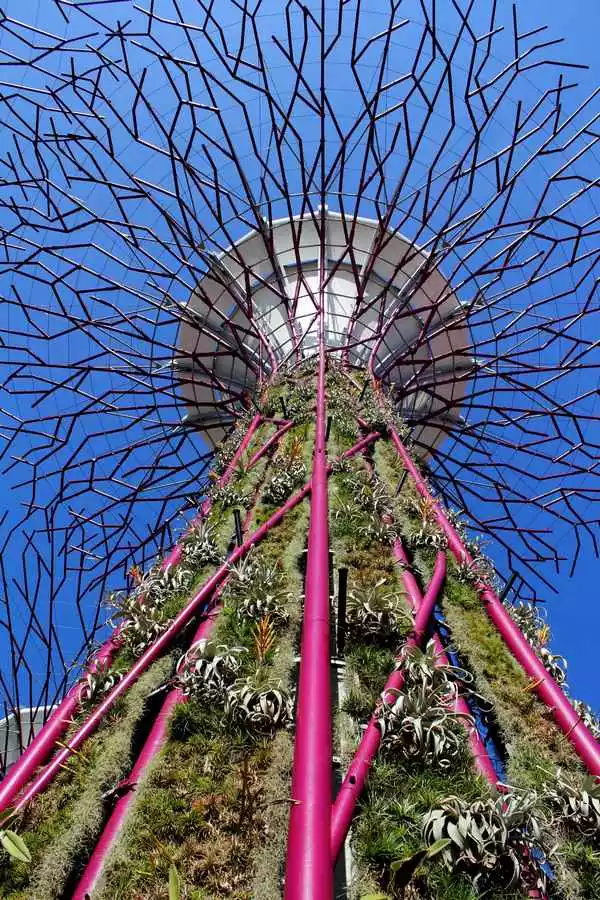 Magic Trees in the Gardens by the Bay, Singapore