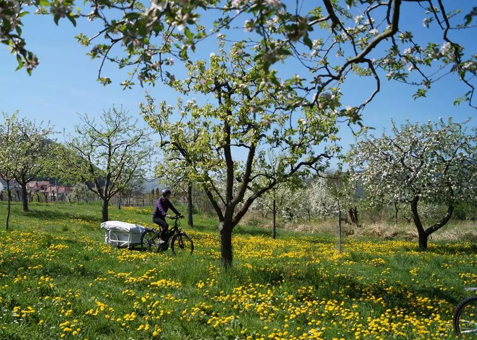 While the B-Turtle should be fine on flat, smooth trails and paths, it's not designed for full-blown mountain biking