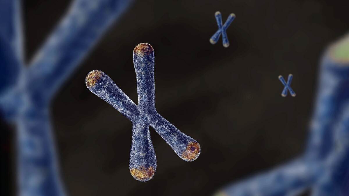 Mom and dad’s DNA team up to shape aging and disease from conception