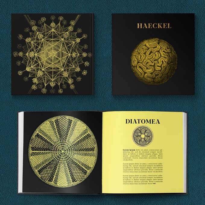 The book includes accompanying written descriptions translated from German