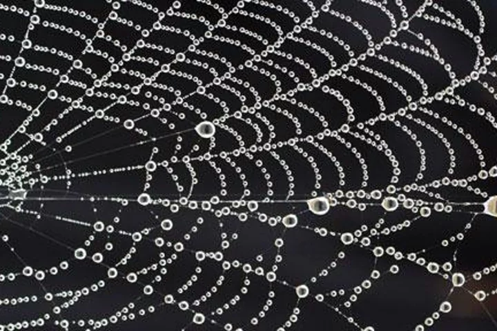 The new silk is made out of hydrogel