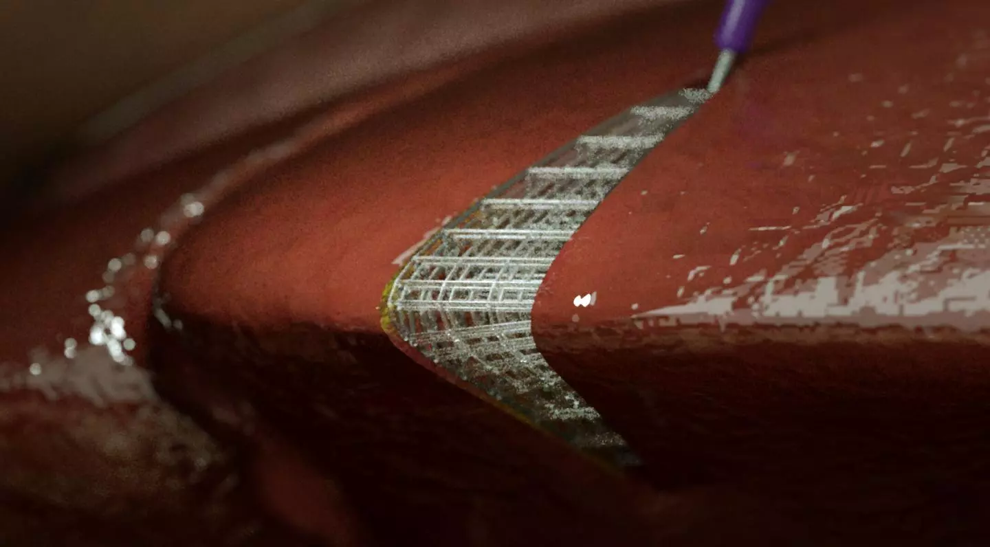 A three-dimensional lattice-like structure, printed directly onto living tissue using the new bio-ink