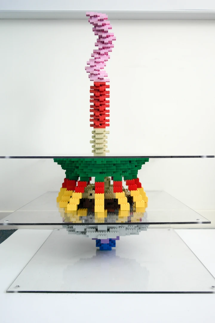 A Lego model of a flagellum (top) and the motor that drives it (below)