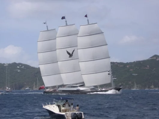 The Maltese Falcon