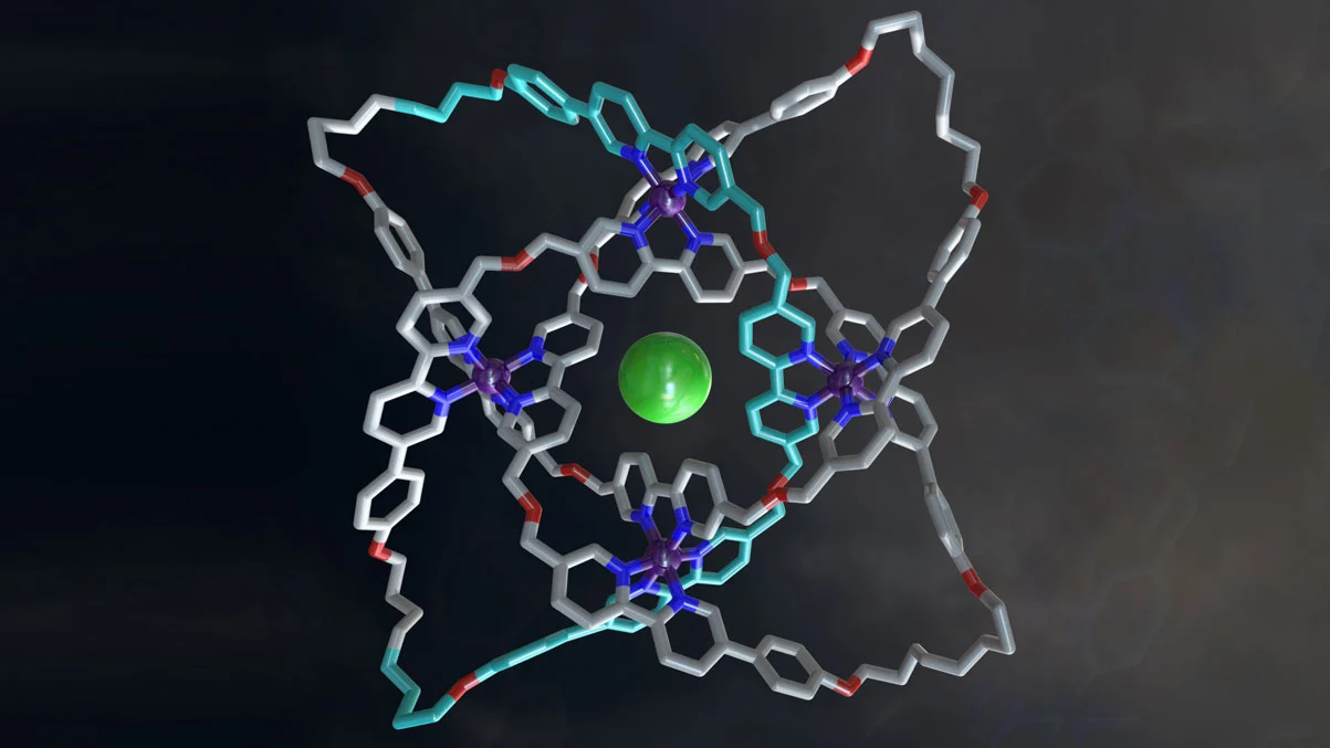 The X-ray crystal structure of a 192-atom-loop molecular 819 knot featuring iron ions (purple), oxygen atoms (red), nitrogen atoms (dark blue), carbon atoms (shown in metallic grey, with one of the building blocks shown in light blue) and a single chloride ion (green) at the center of the structure