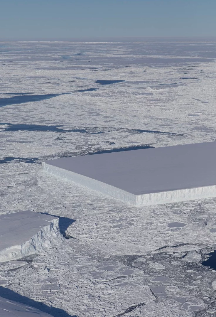 This bizarrely, but not unusual, rectangular iceberg is called a tabular iceberg and was discovered by IceBridge just a few days ago floating off the Larsen C ice shelf