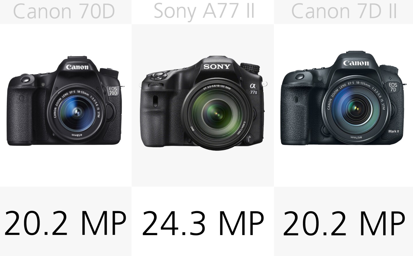 None of thses DSLRs have resolutions that will produce monstrously large computer-crippling files