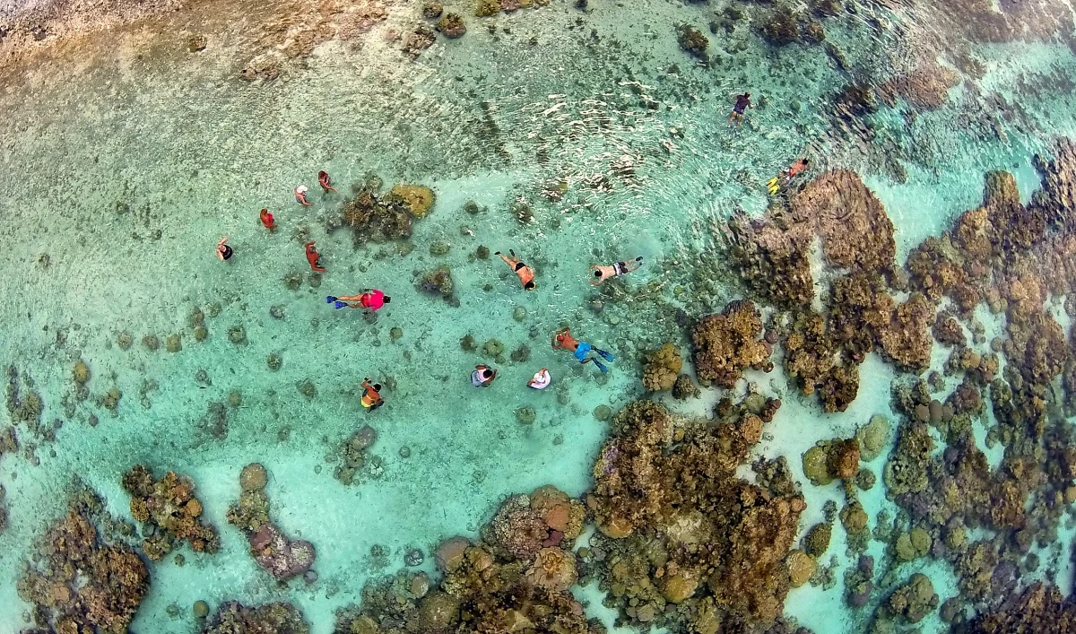 Snorkeling in French Polynesia