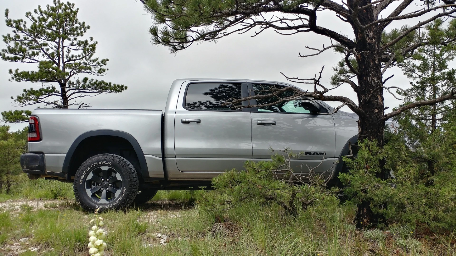 The rear axle on the Rebel is the Ram 1500 line’s higher-torque 3.92 differential with an electronic lock for the axle to force 50:50 between the tires