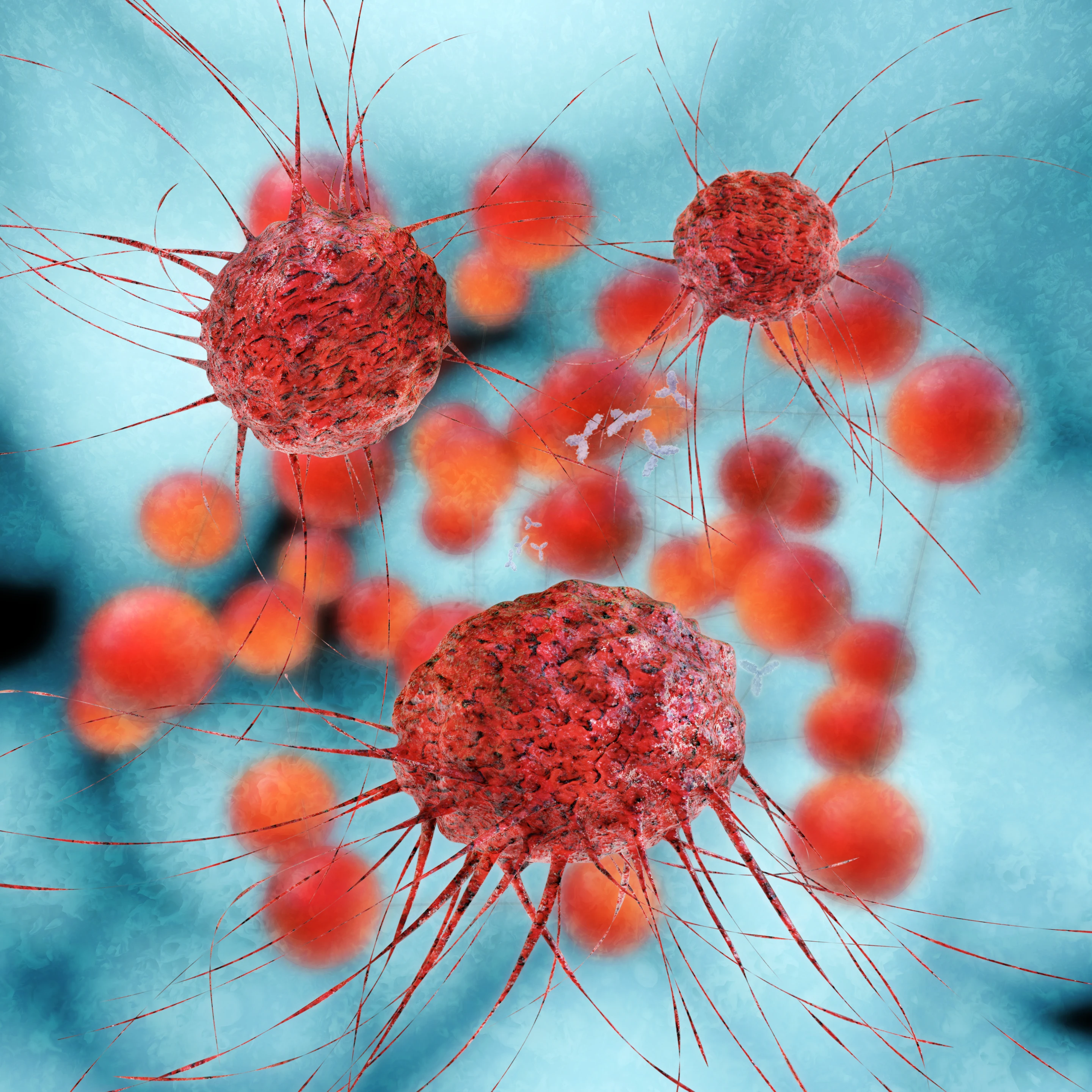 A new cancer diagnosis technique works by isolating circulating tumor cells (CTCs) from a blood sample