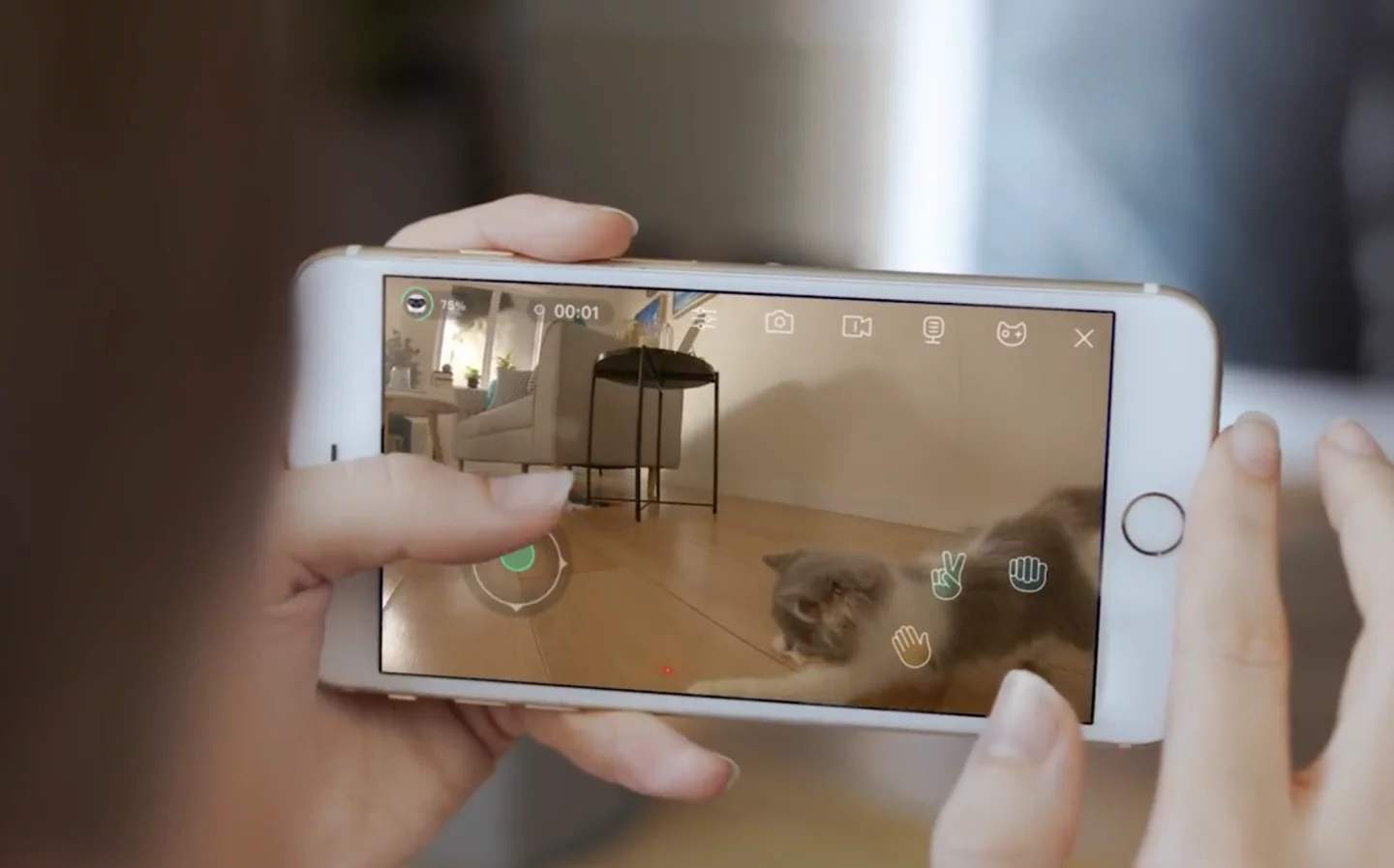 Using a smartphone app, Ebo can be steered remotely for long-distance playtime