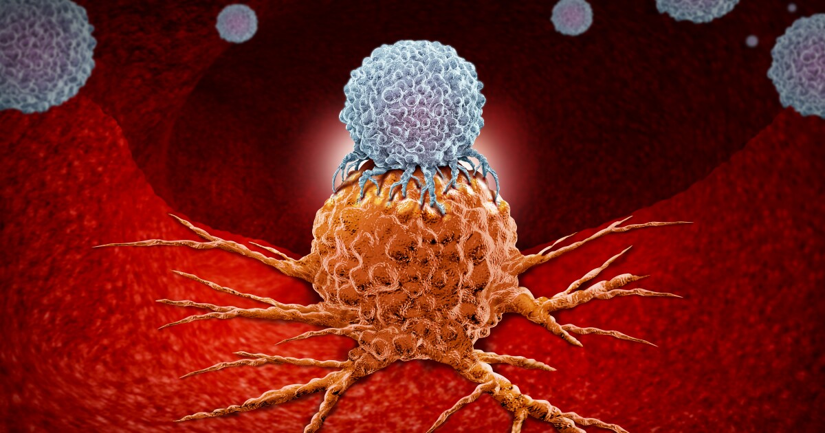 How cancer cells evade destruction, and what scientists are doing to catch them
