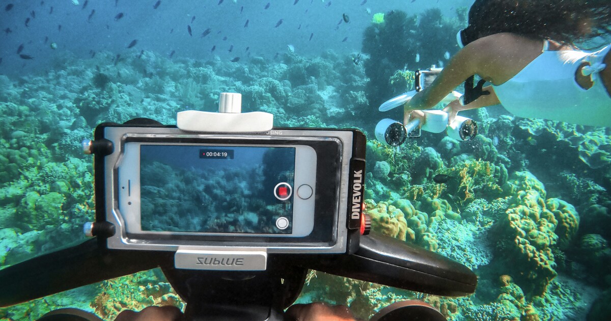 Sublue Best Phone For Underwater Photography Sublue Waterproof