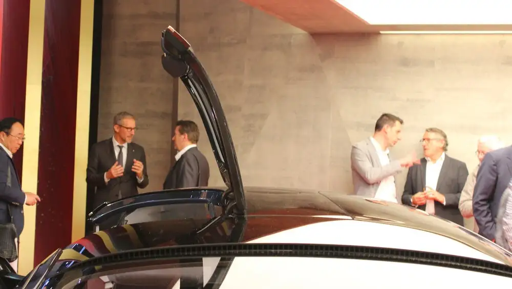 Meant to add convenience, the Vision Concept's swing-up roof panel makes for easier ingress/egress