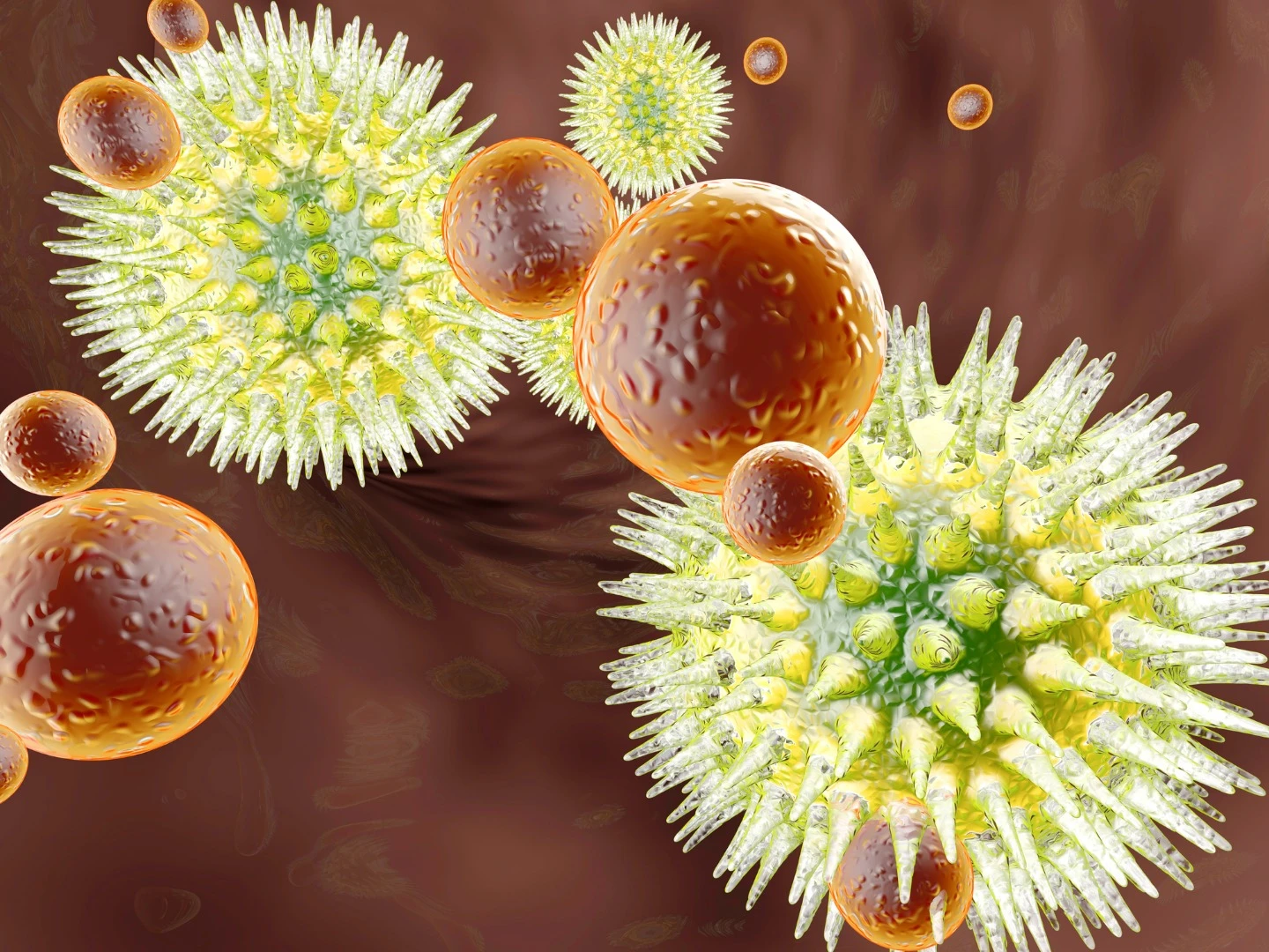 Contrary to assumptions, cytomegalovirus has been found to improve the function of the immune system in old age