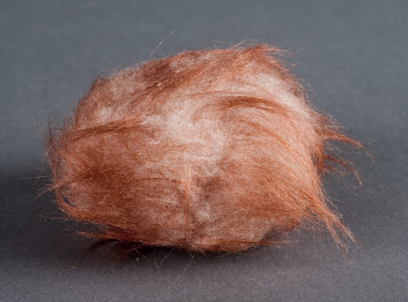 A troublesome tribble