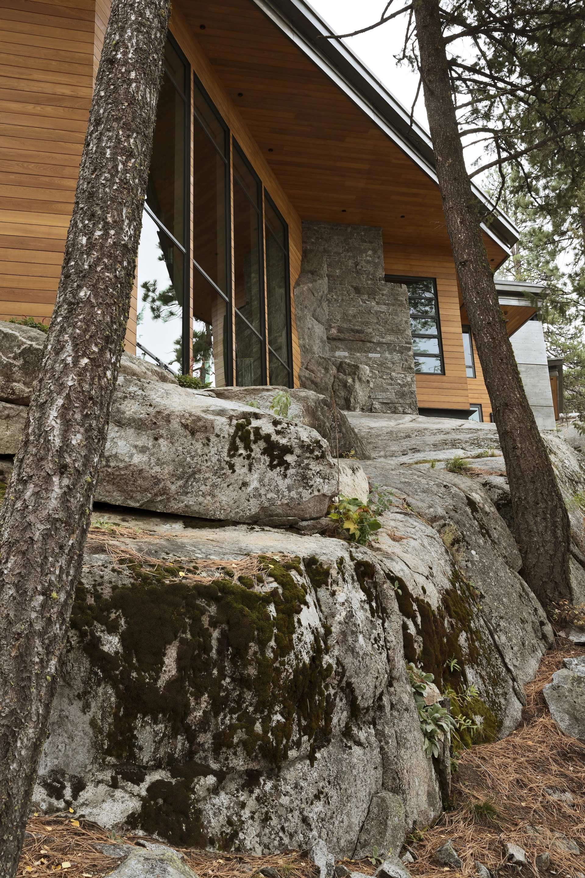 Natural and introduced bedrock appear inside the Cliff House, as well as outside