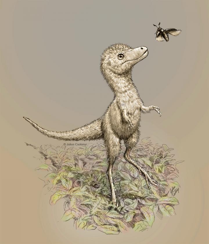 An illustration depicting a hatchling tyrannosaur