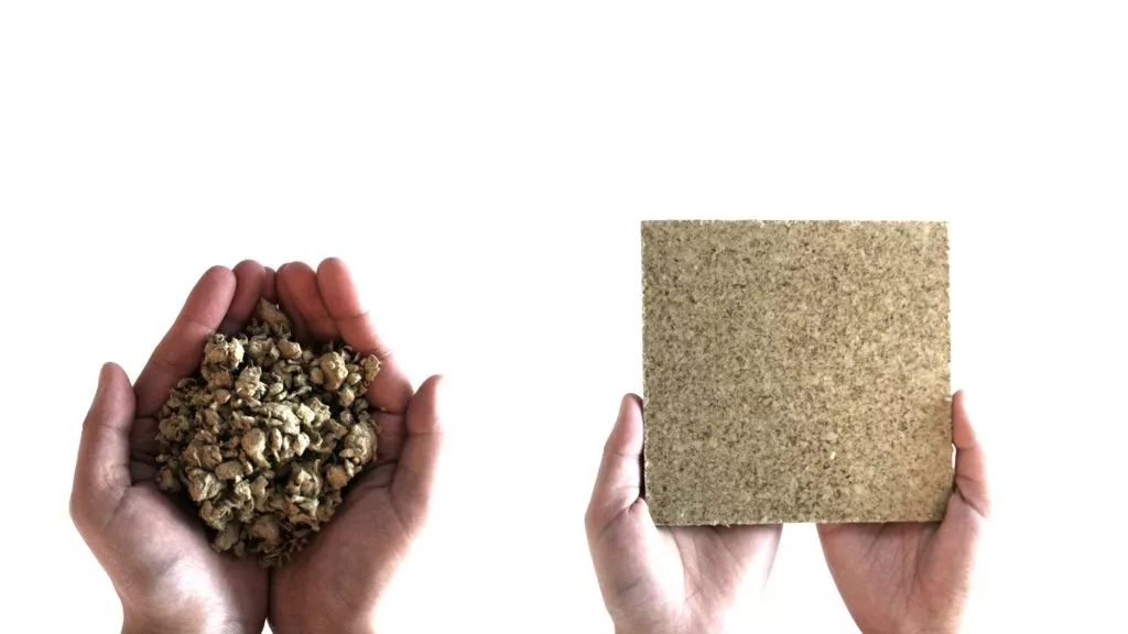 Board for the Biological House made from seaweed