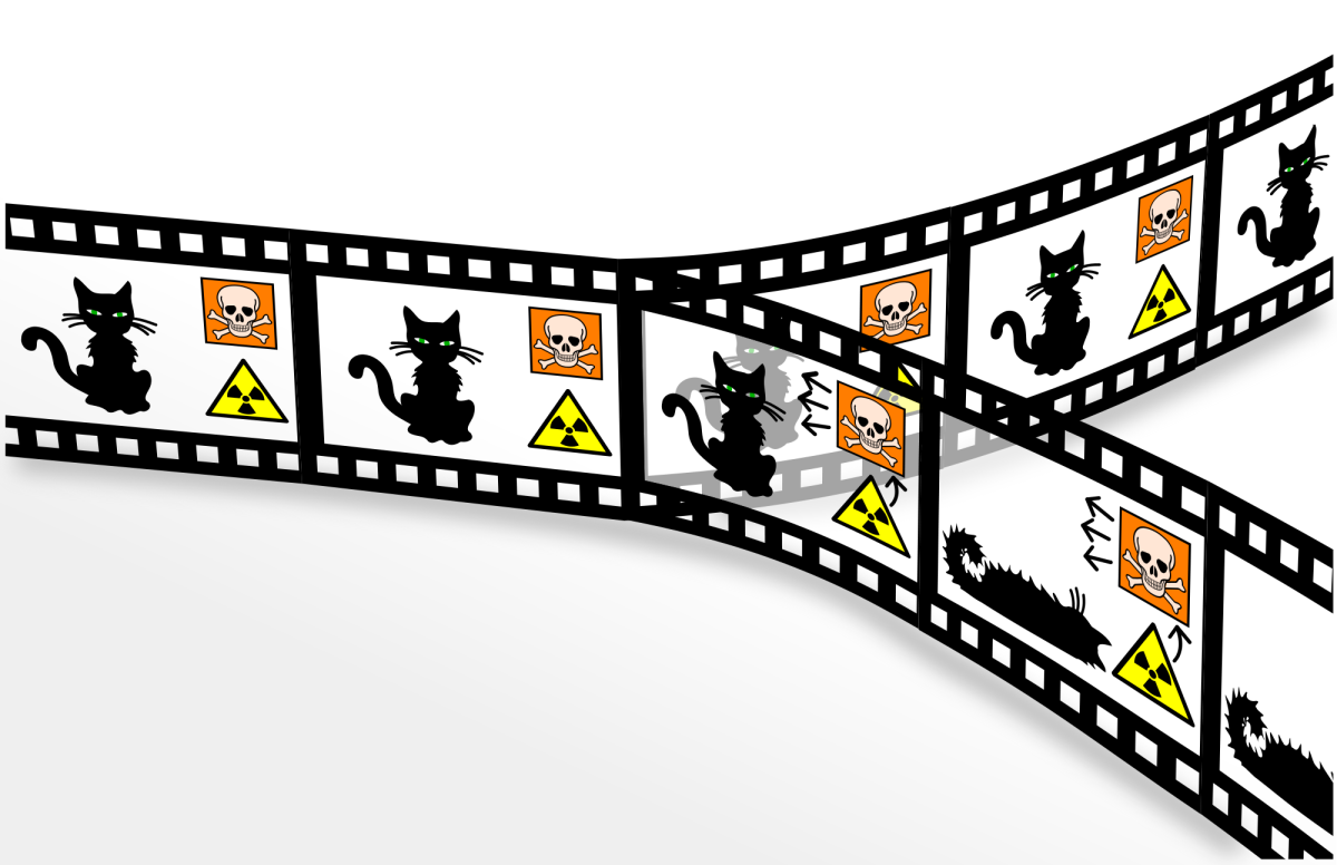 Schrödinger's Cat in a many-worlds quantum mechanical world