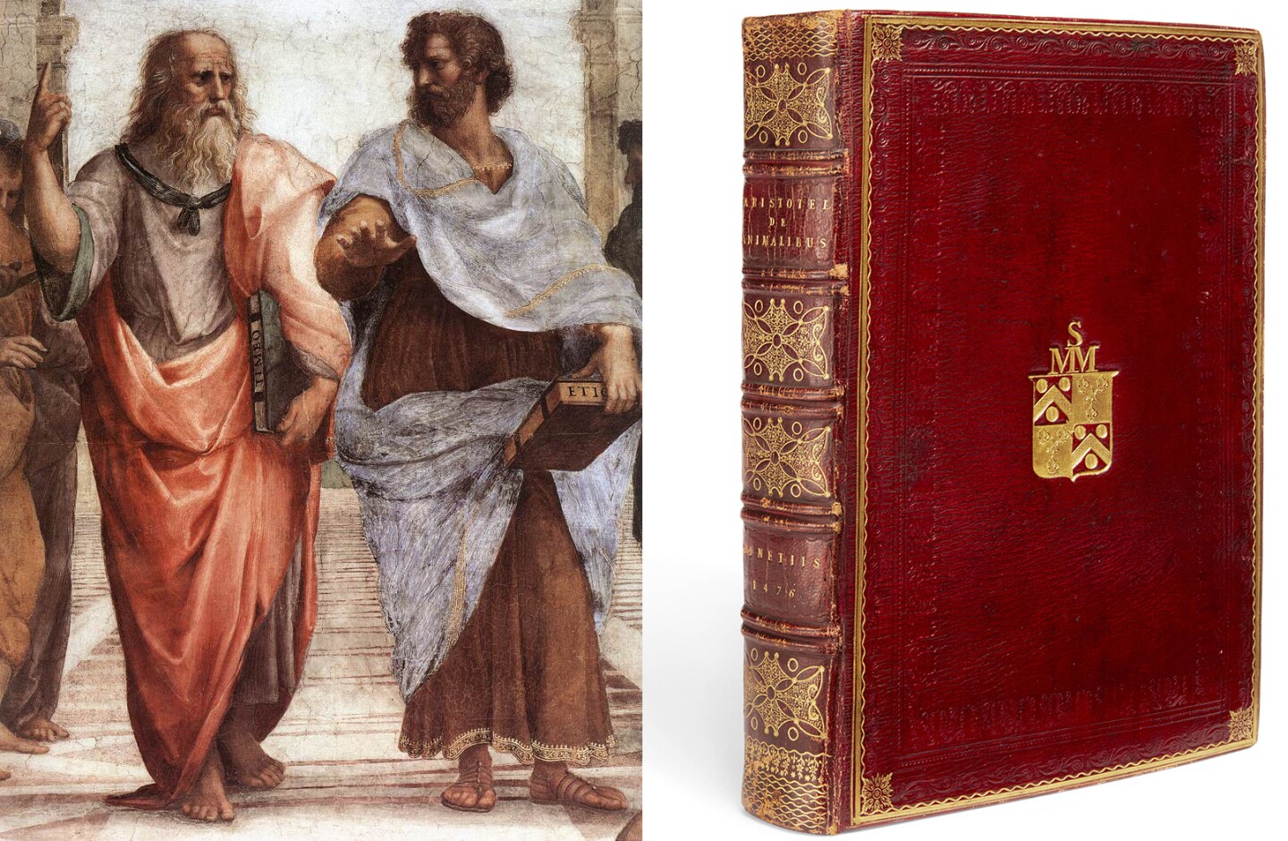 Aristotle (right) studied under Plato (left) at his academy for nearly 20 years. Of more than 200 known Aristotle works, only 31 have survived.