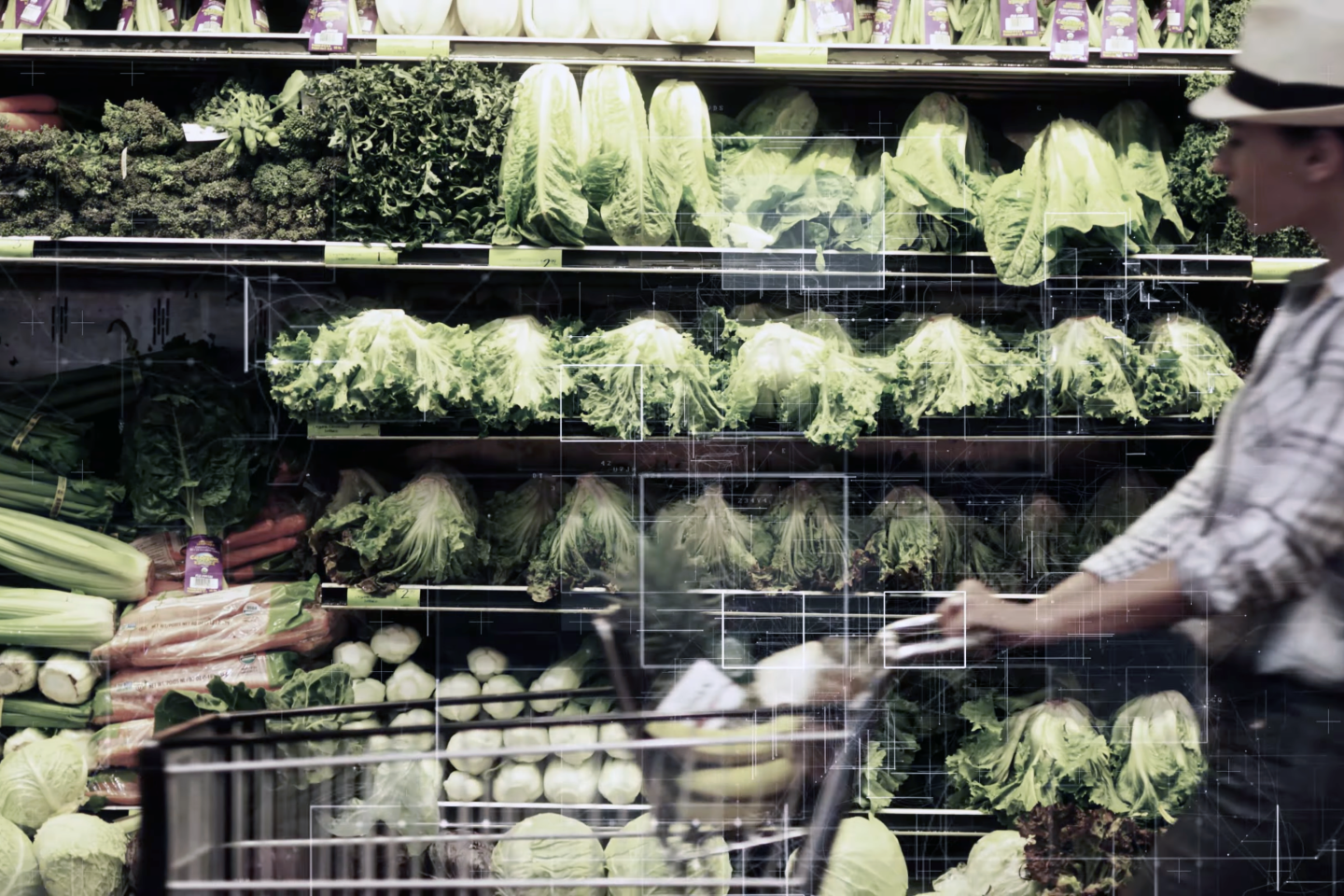 When you buy an item of "fresh" produce in a supermarket, you probably don't know anything about the supply chain that puts food on supermarket shelves other than perhaps its point of origin. You're trusting that no nasty chemicals, fertilizers or pesticides have been used. Supermarket produce never lasts as long as genuinely fresh produce because it's coming out of cold storage and it can be weeks, even months old.