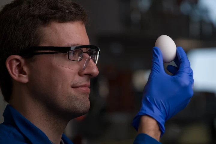UC Irvine scientists have found a way to unboil an egg (Photo: Steve Zylius/UC Irvine)