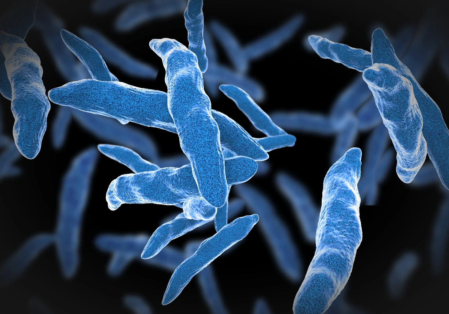 A new test promise rapid diagnosis of tuberculosis from a finger-prick blood test