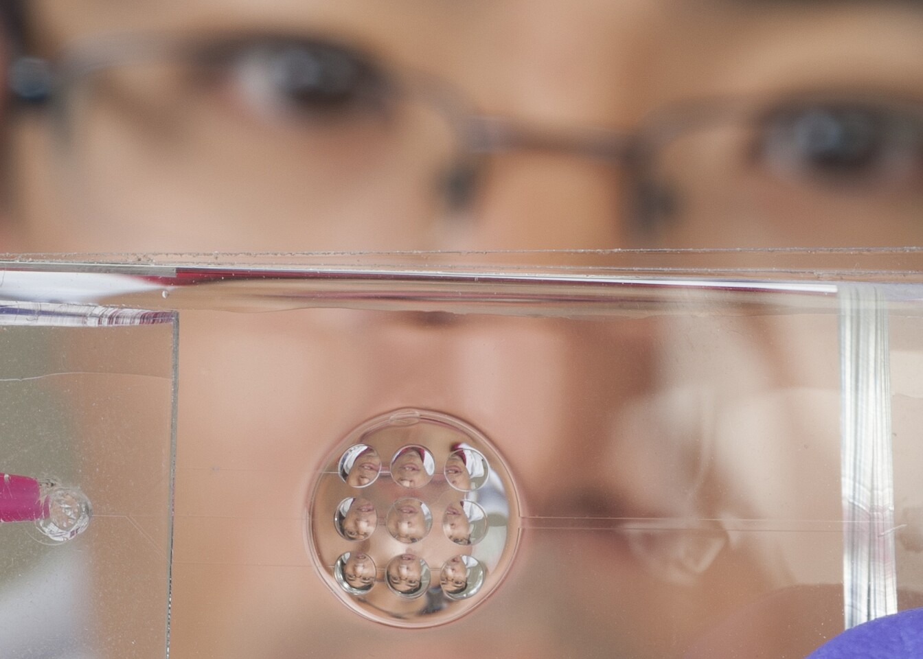 Yi Zhao shows off the bug/human hybrid lens prototype (Photo: Jo McCulty, Ohio State University)