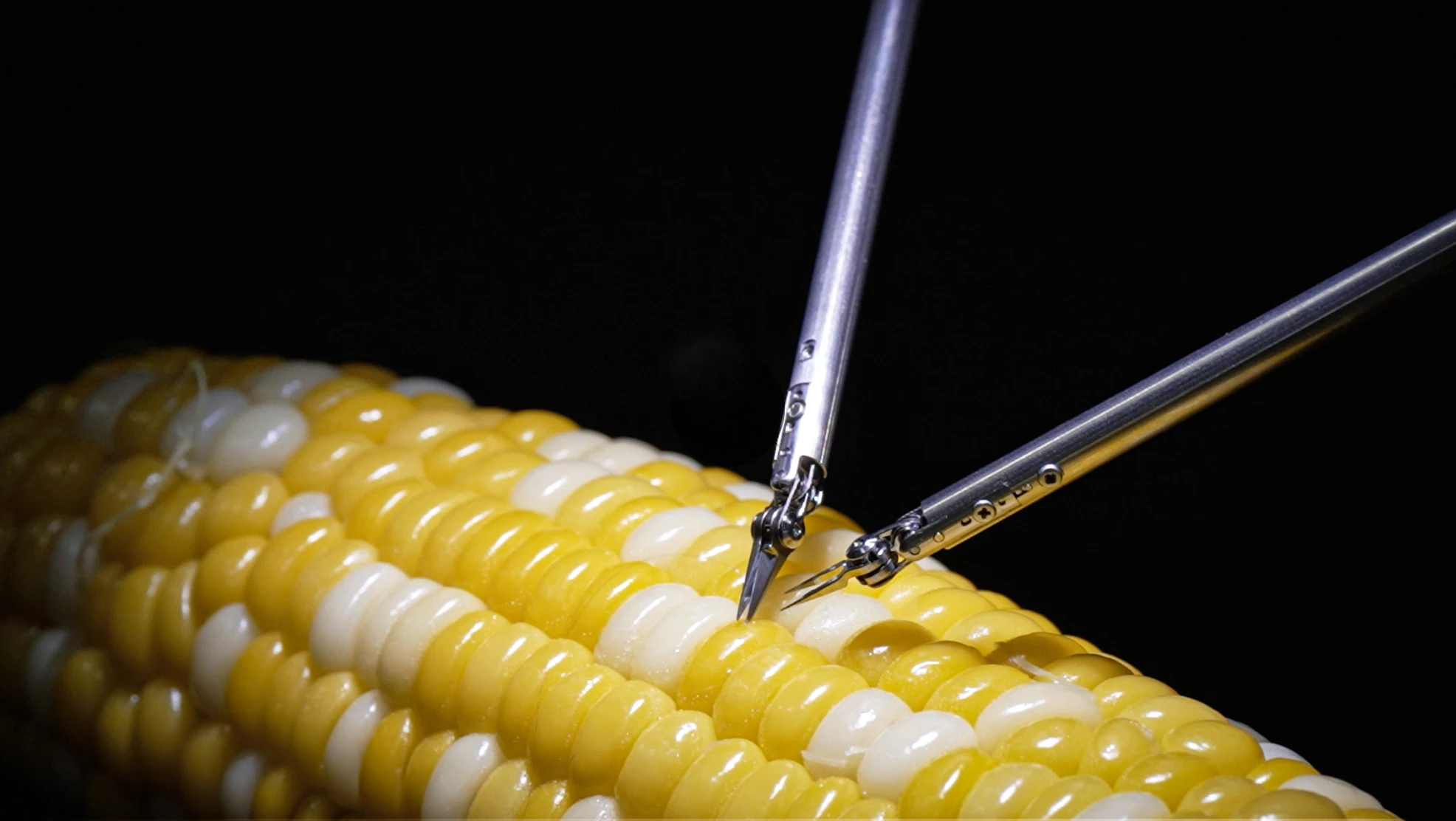 Sony's microsurgery robot operates on a corn kernel