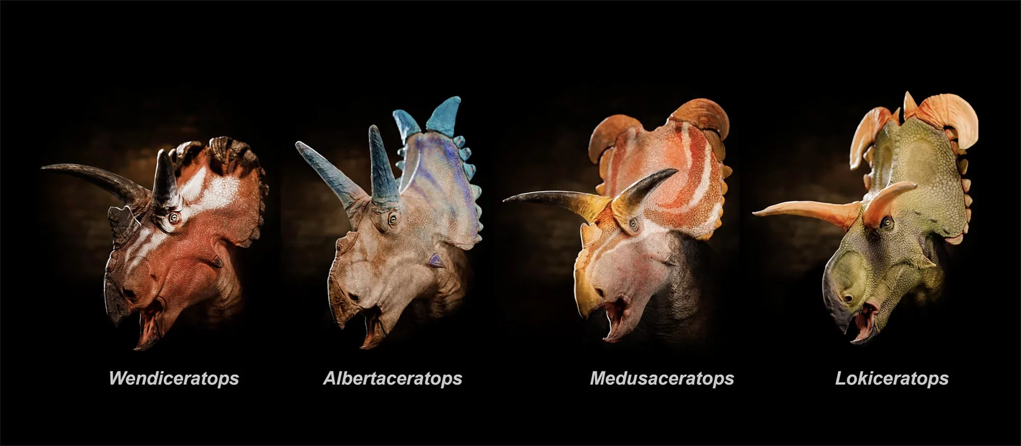 Portrait reconstructions of the four dinosaurs found in the region near the Montana-Canada border