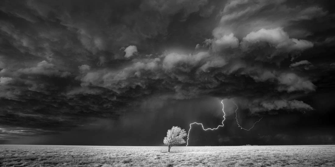 A highlight from the top 50 images in the Amateur, Nature category