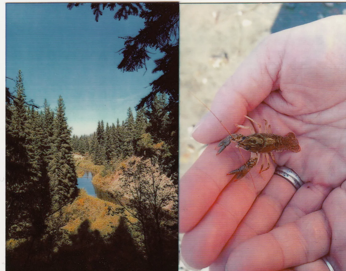 Prints made with the Prynt Pocket