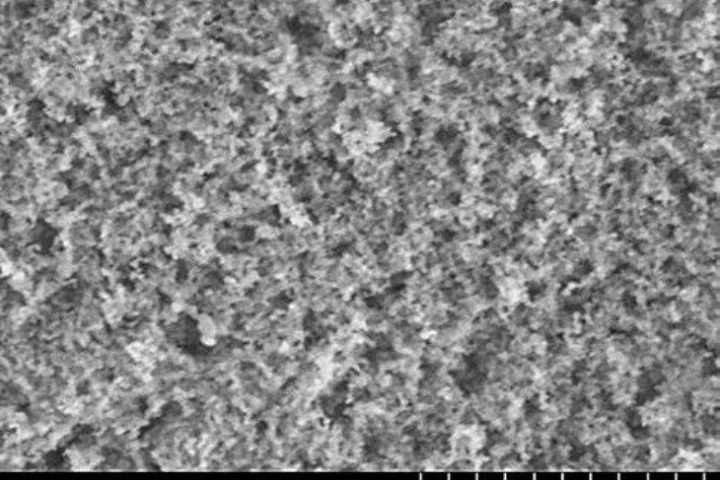 The superhydrophobic coating, seen through a scanning electron microscope