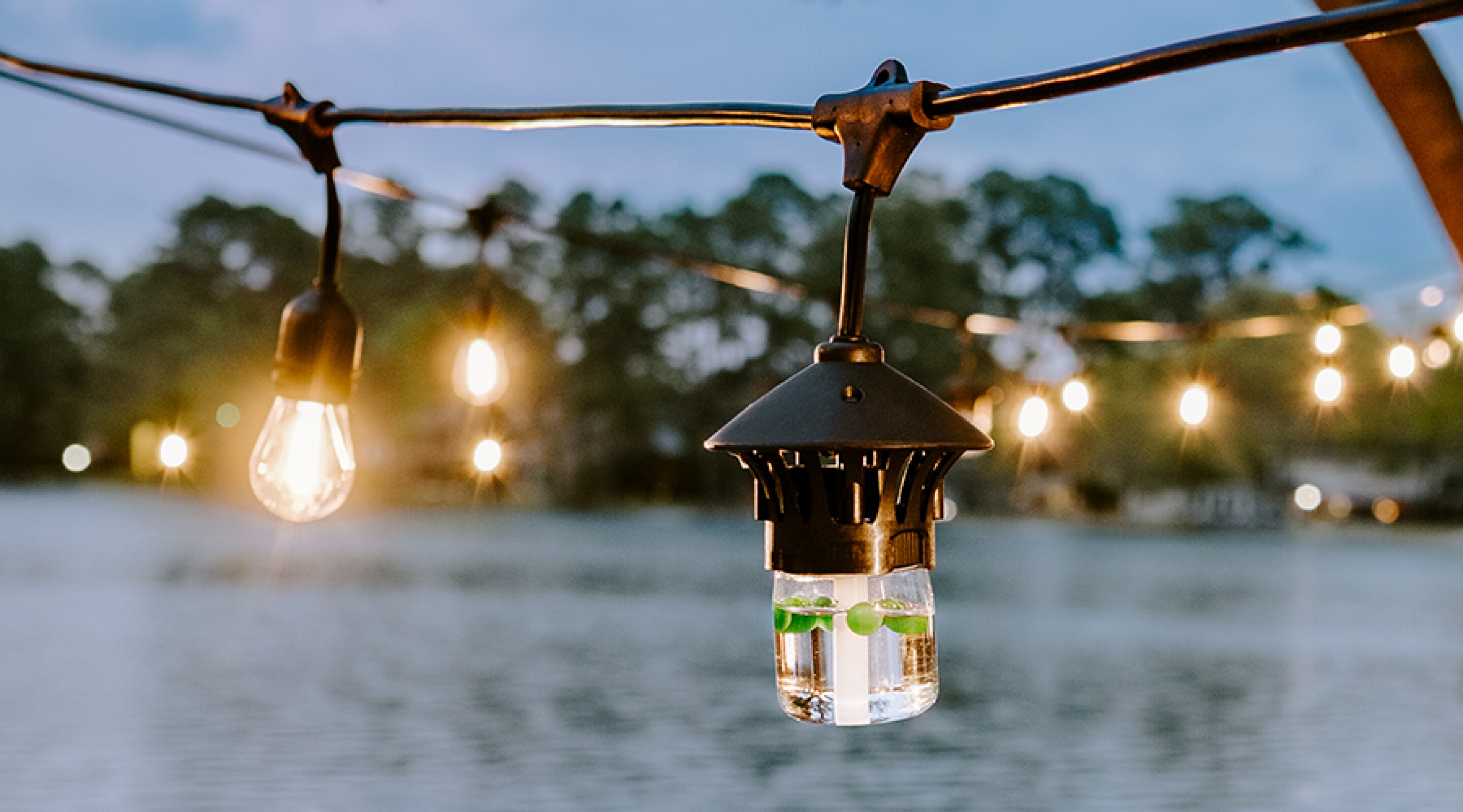 BiteFighter string lights chase mosquitoes from decks and yards