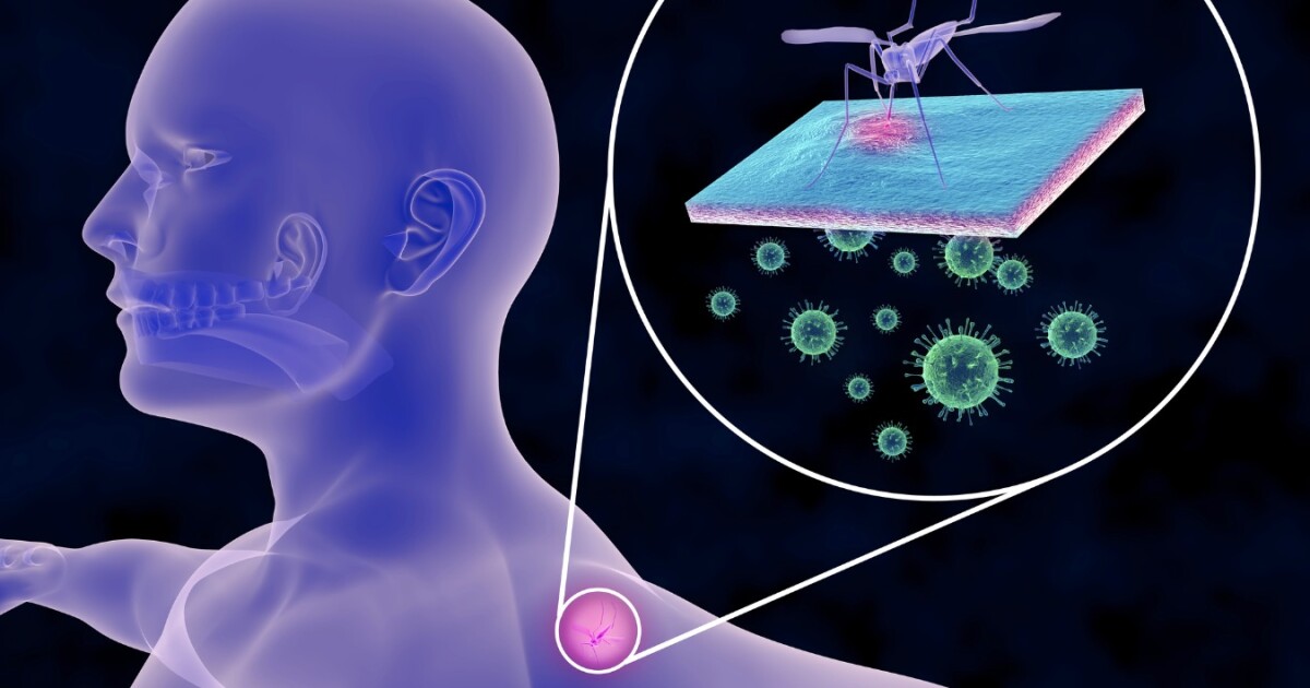 With malaria, bugs matter more than bites