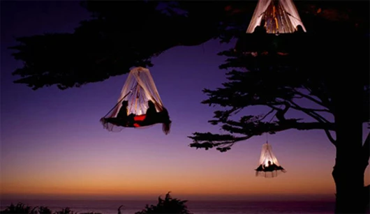At Waldseilgarten, guests can sleep in their very own portaledge, hanging several meters above the ground (Photo: Waldseilgarten)