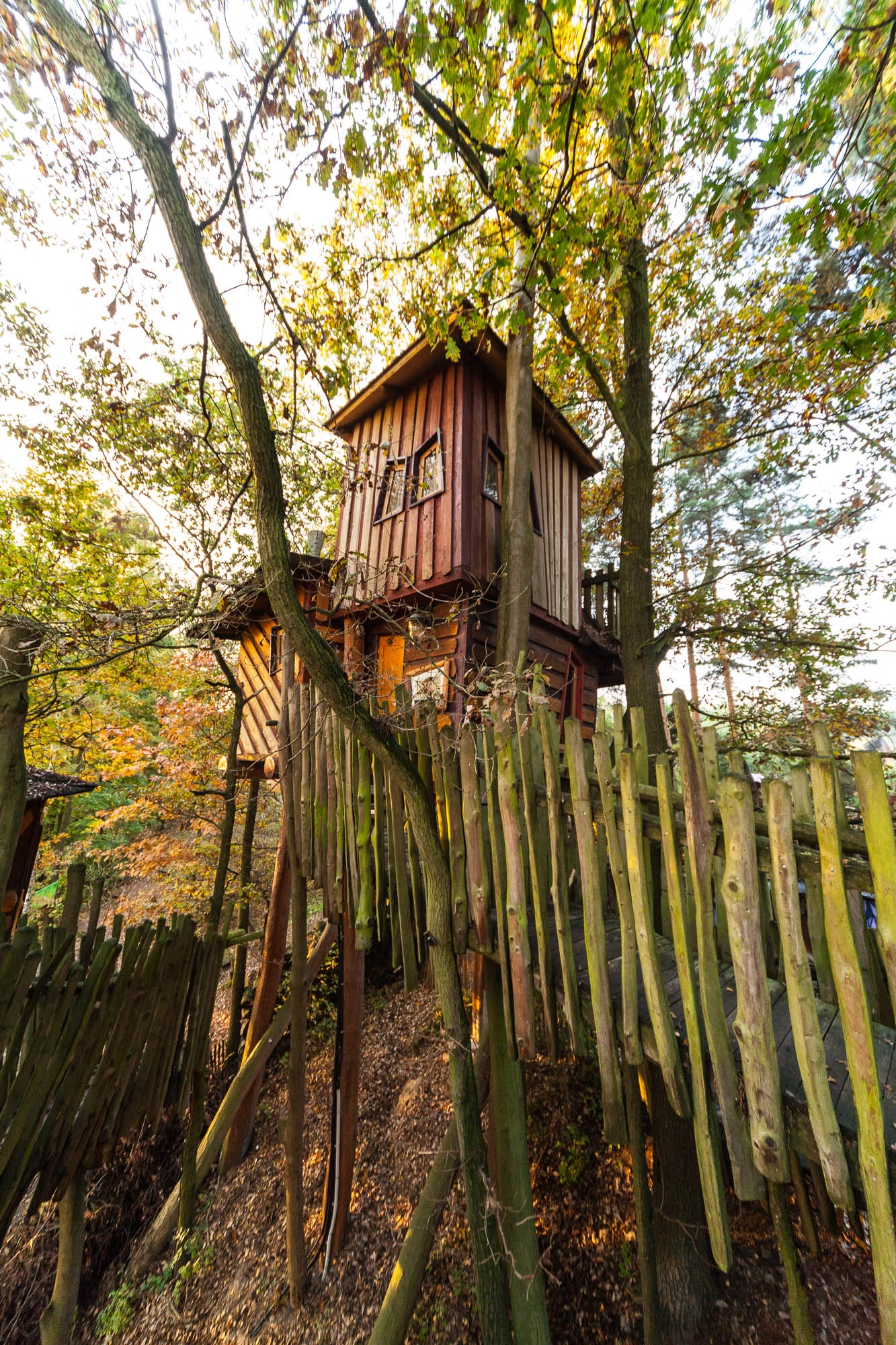 Kulturinsel Einsiedel: the treehouse hotel