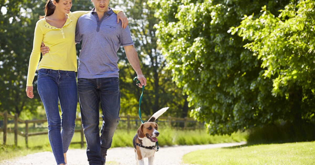Walking Just 4 000 Steps A Day Can Reduce Your Risk Of Death Walking Just 4 000 Steps A Day Can Reduce Your Risk Of Death